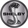 Shelby